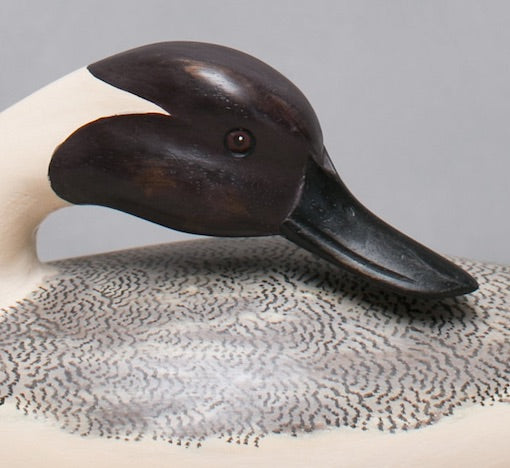 Hand Carved Pintail Duck - 14"L - Decoy – Wooden Bird Sculpture, Coastal Decor