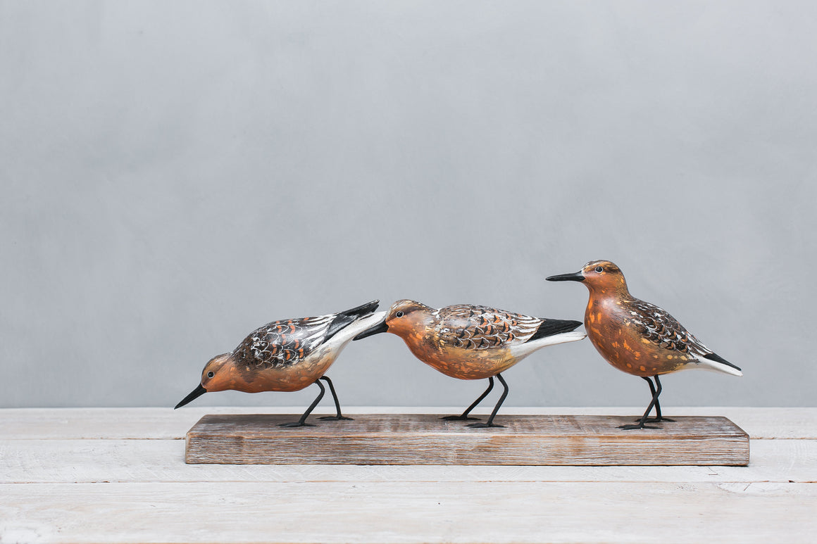 Hand Carved Wooden Red Knot — Feeding