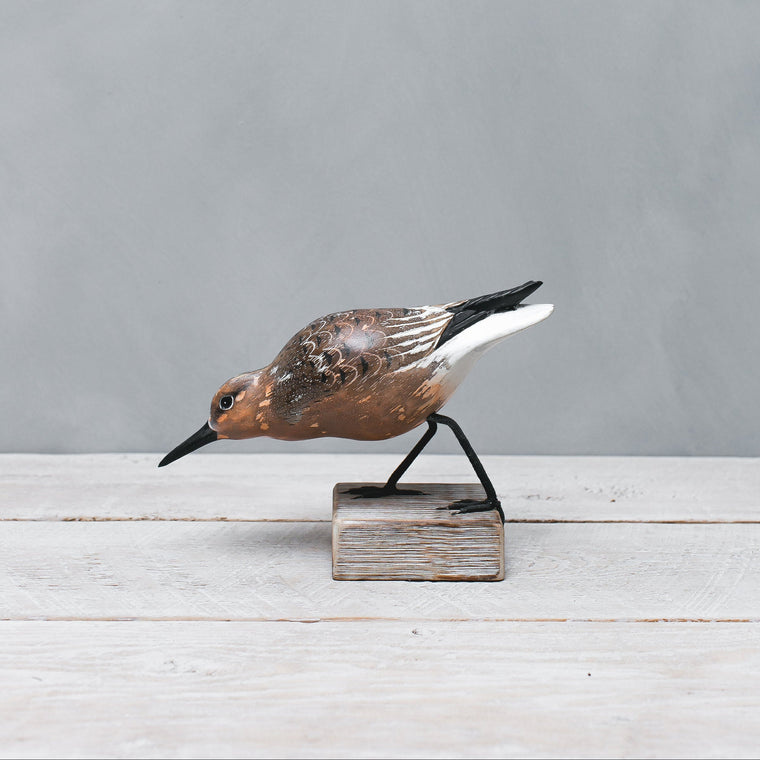 Hand carved wooden red knot feeding shorebird sculpture
