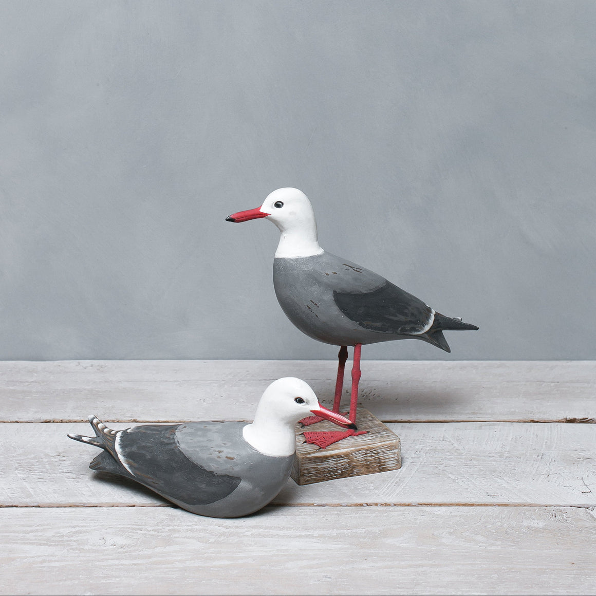 Hand carved wooden Heermann's gull pair sculpture