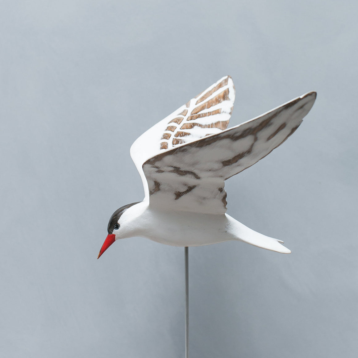 Hand Carved Wooden Tern — Flying | 17"H