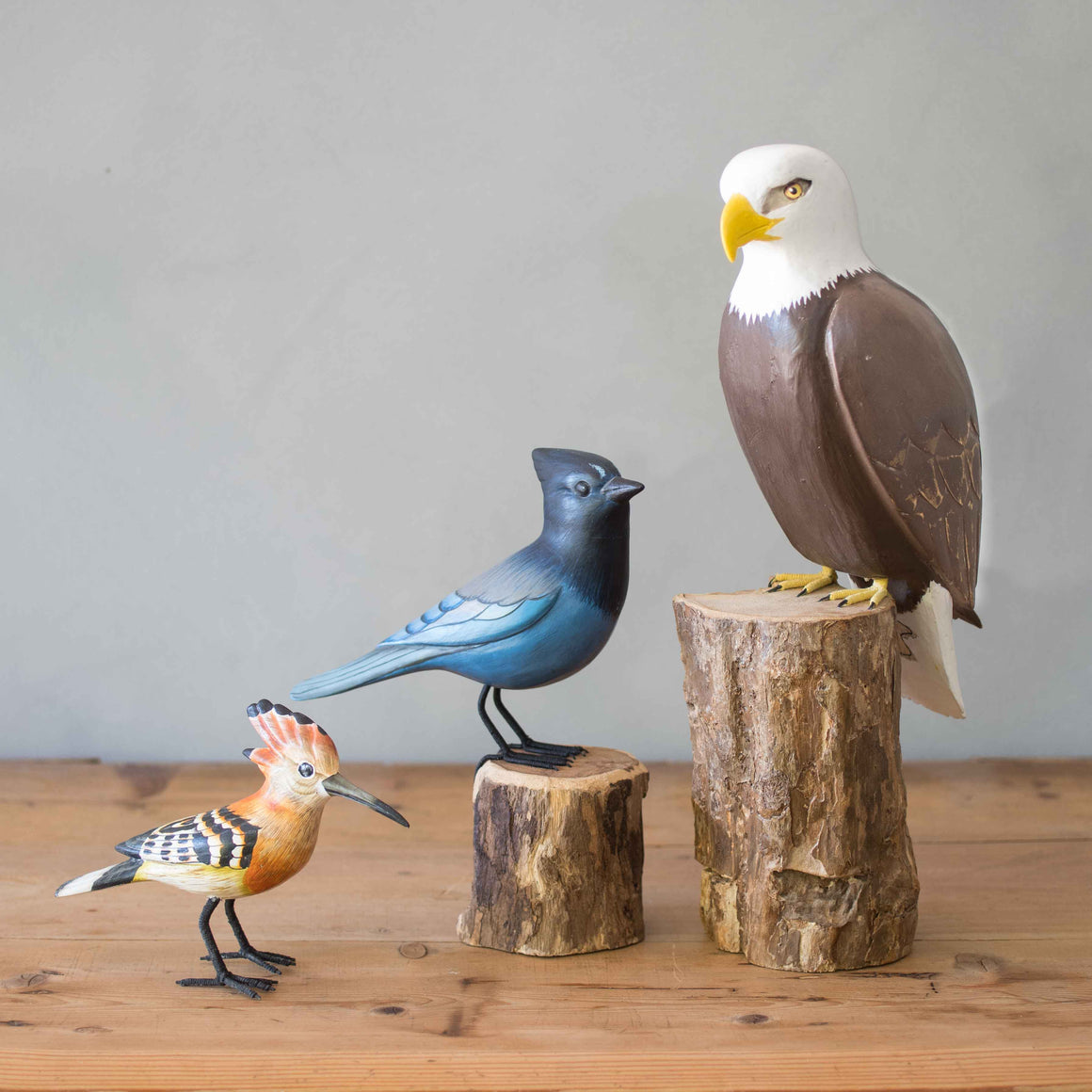 Hand Carved Wooden Steller's Jay – 8"H -  Blue Bird Sculpture – Pacific Northwest Wildlife Art – Rustic Bird Decor