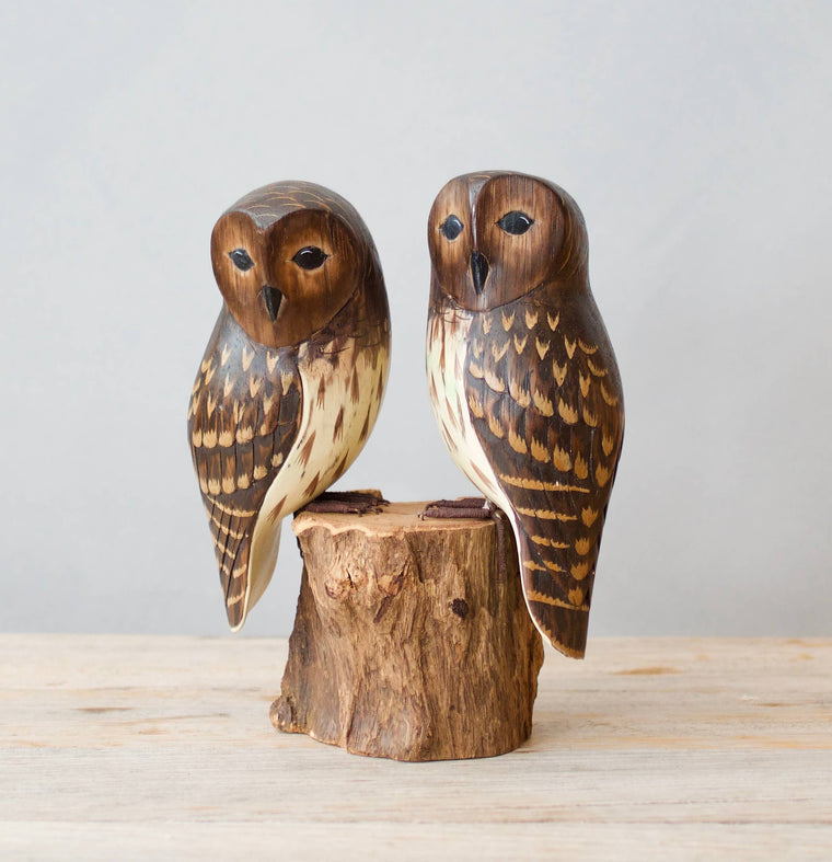 Hand carved wooden baby barred owl pair on natural log base