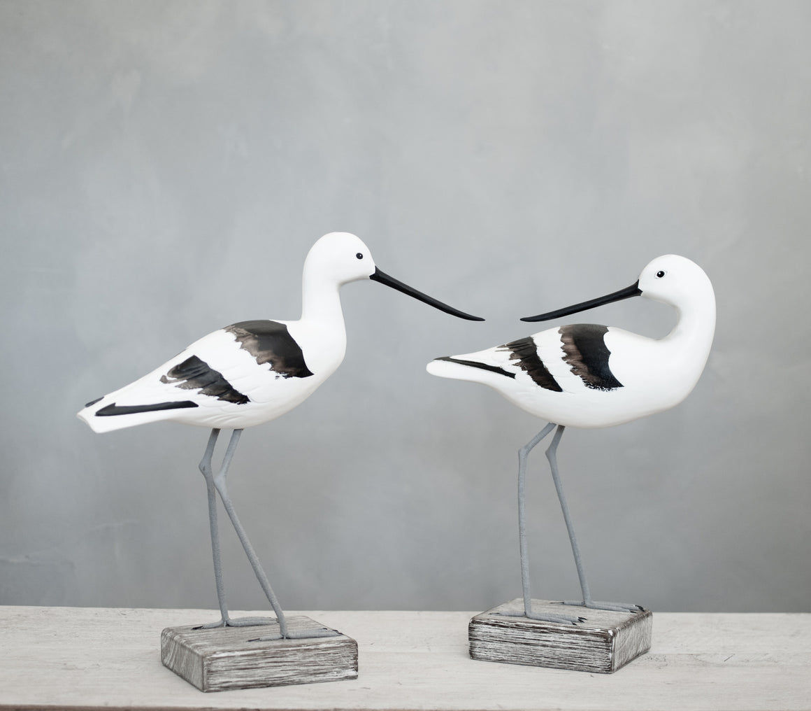 American Avocet Pair - H 12" Hand Carved Shorebird