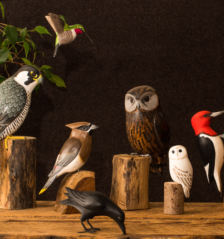 Hand Carved Wooden American Oystercatcher — 10"H