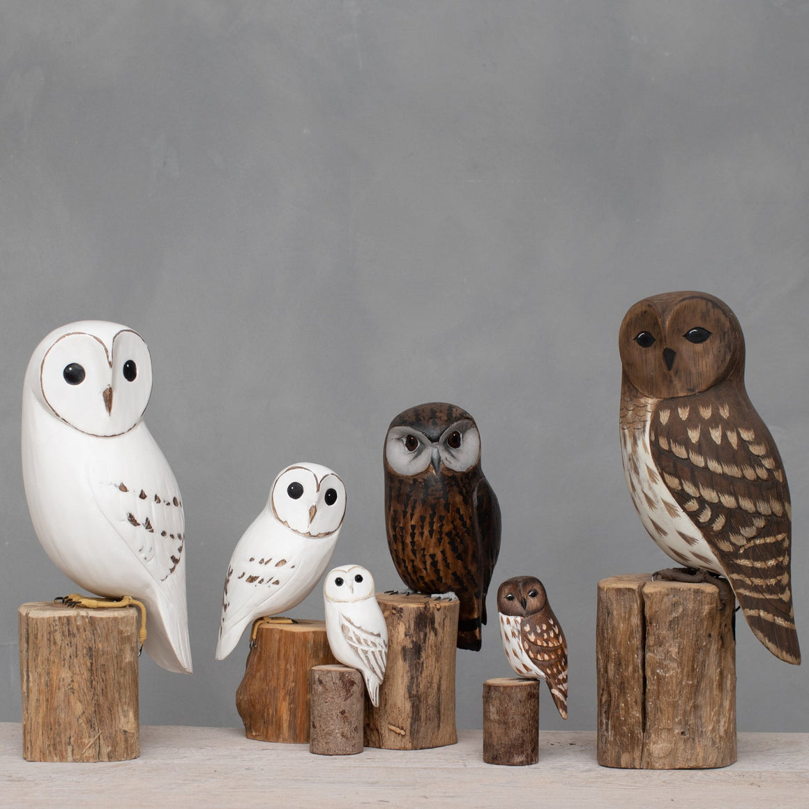 Hand Carved Wooden Baby Barred Owl Pair — 8"H