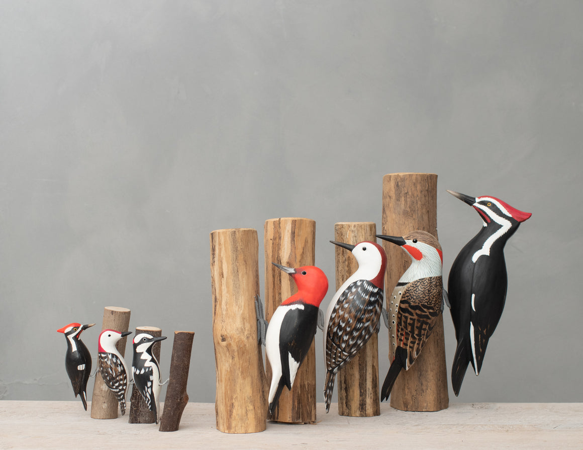 Downy Woodpecker -10"H