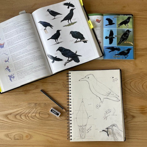 Open book with crow bird illustrations, a notebook with drawings