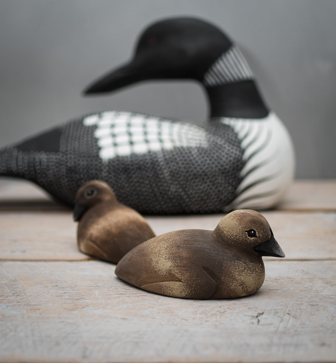 Common Loon Pair -Large