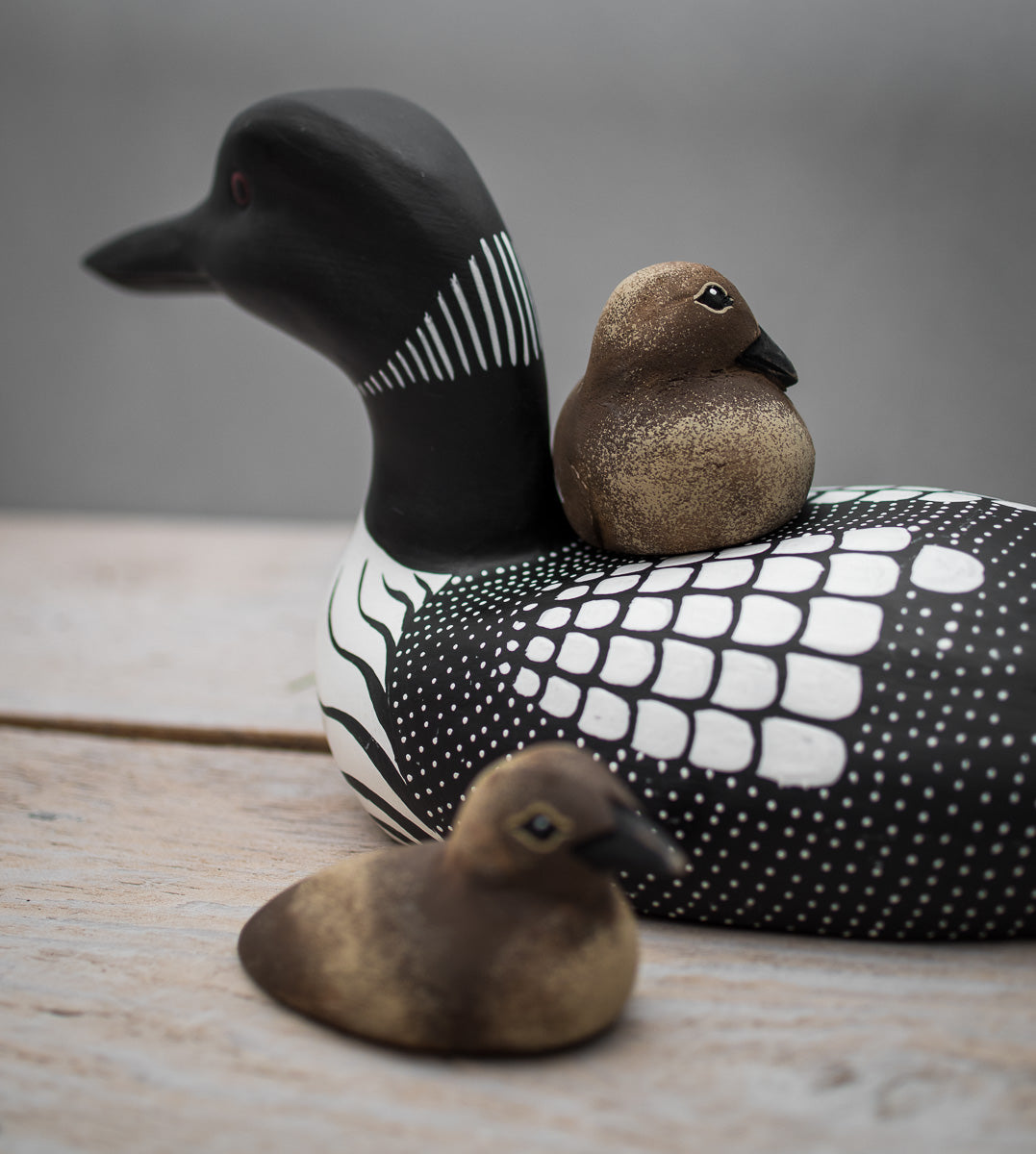 Common Loon Pair -Large