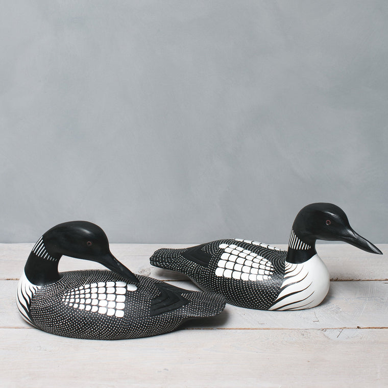 loon pair large