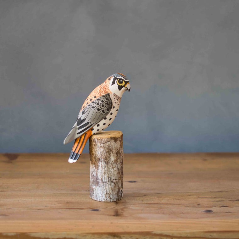 Hand carved wooden American kestrel small falcon raptor 7 inches on natural base
