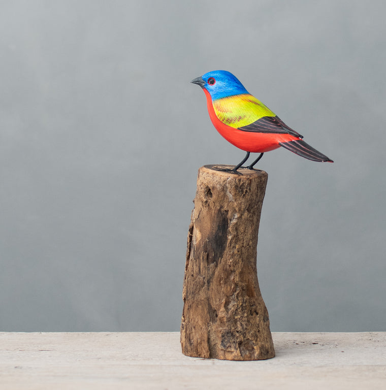 Painted Bunting - 8"H