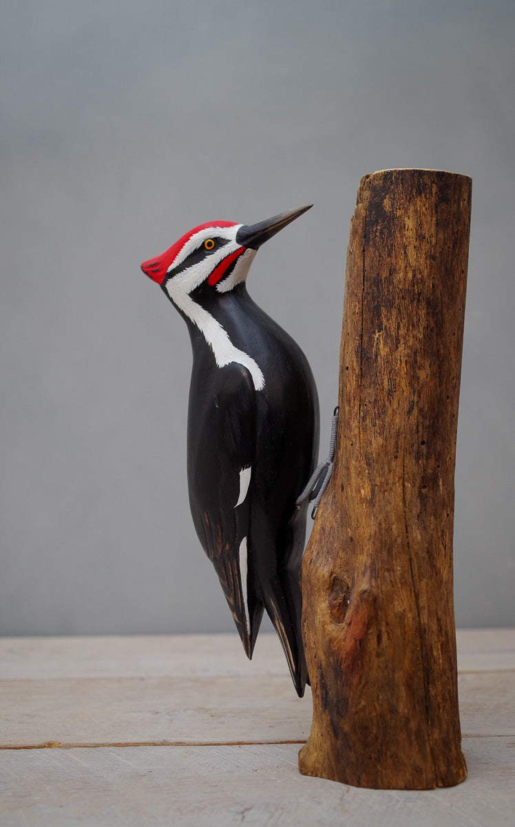 Pileated Woodpecker  - 13"H - Hand Carved Wooden Bird