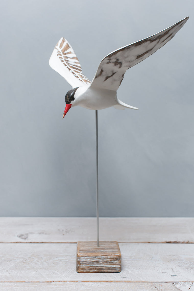 Hand carved wooden tern flying sculpture 17 inches wingspan