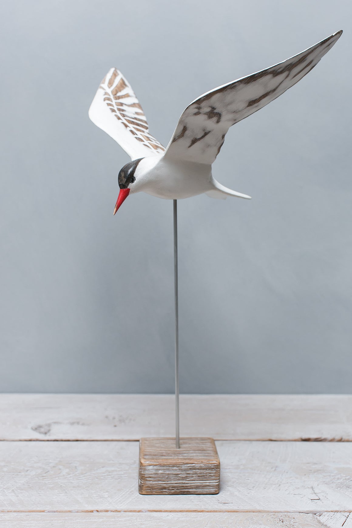 Hand carved wooden tern flying sculpture 17 inches wingspan