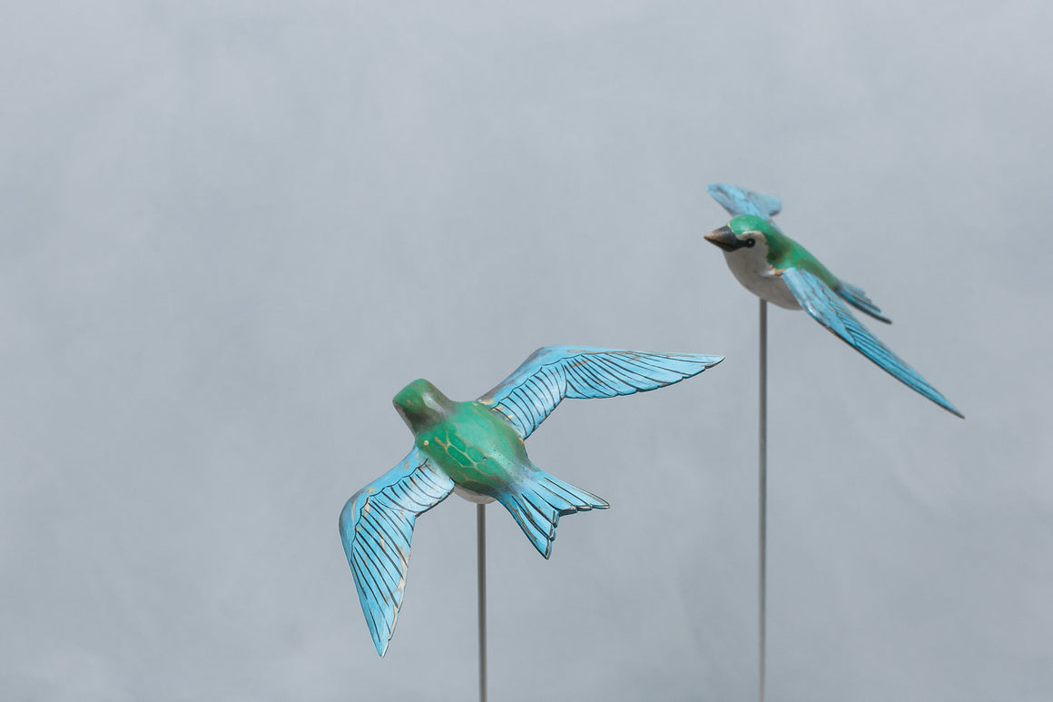 Green Violet Swallow in Flight