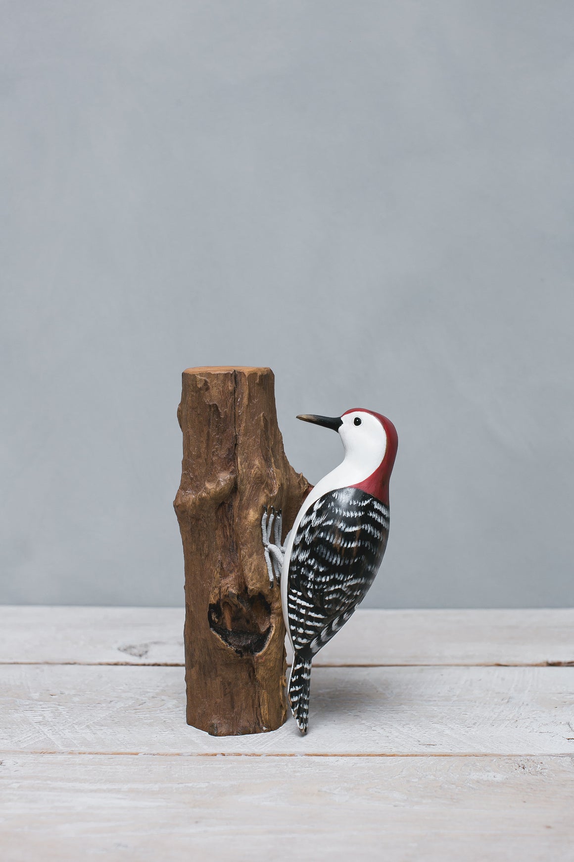 Red Bellied Woodpecker -9.5"H