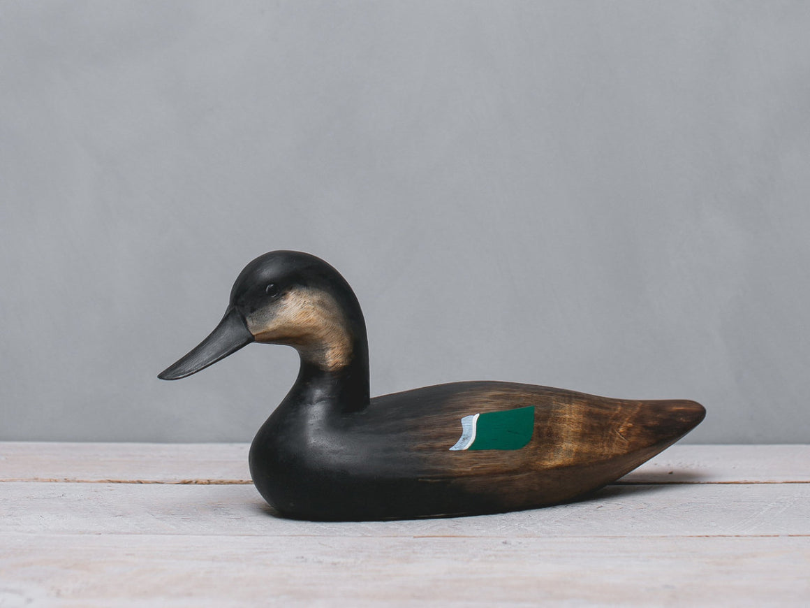 Bluewing Teal Early American - 13.5"L