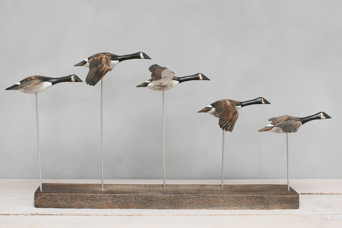 Canada Geese in Flight
