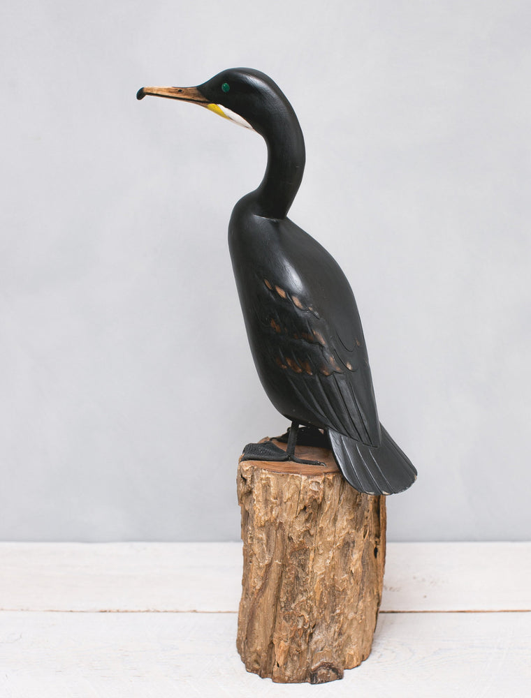 Cormorant High Perch