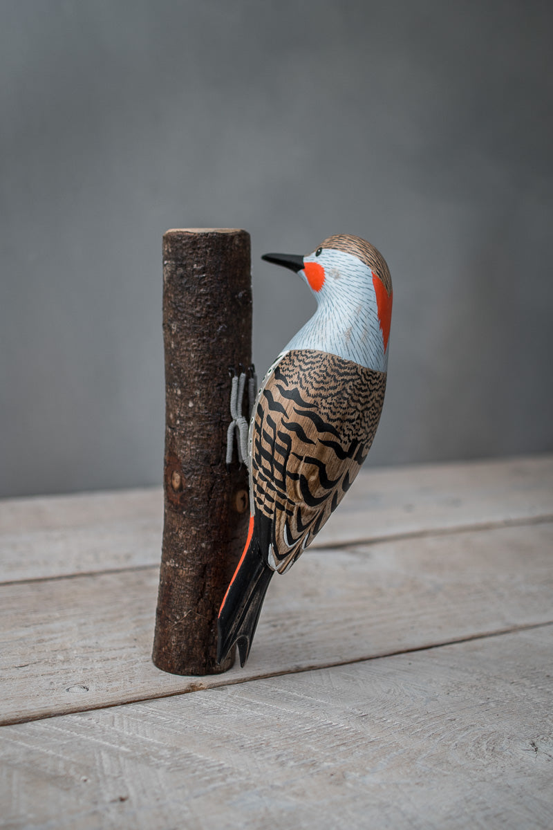 Northern Flicker Woodpecker - 9.5"H