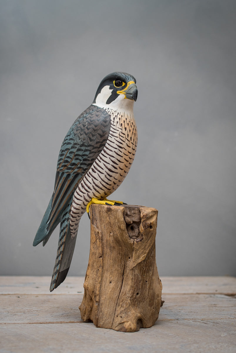 Peregrine Falcon - 11.5"H - Hand Carved Wooden Bird