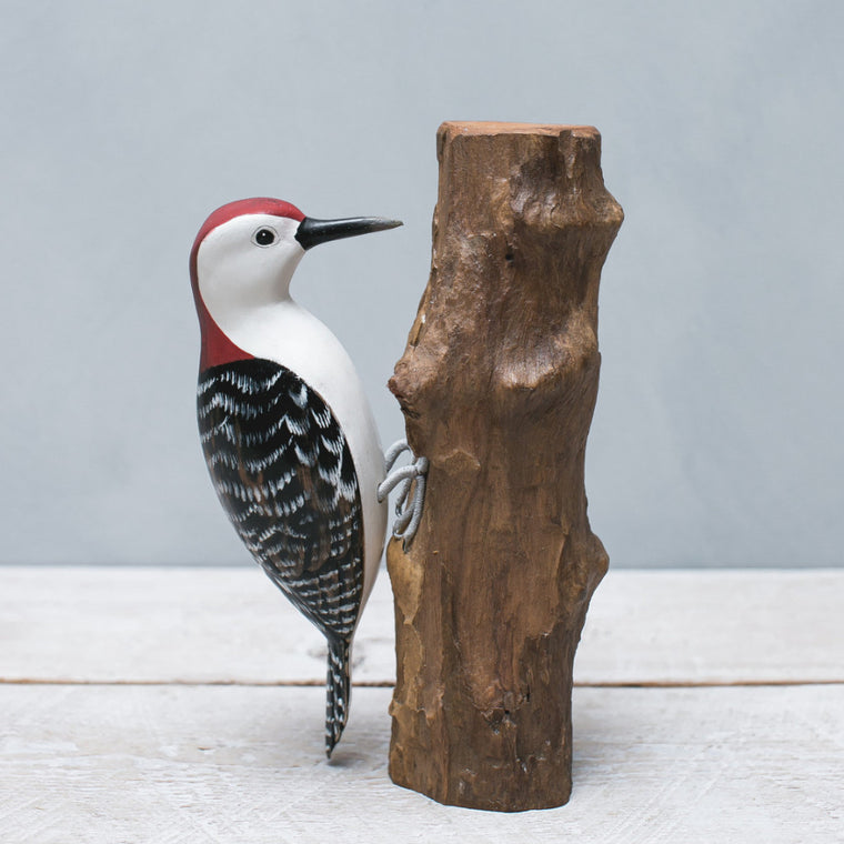 Red Bellied Woodpecker -9.5"H