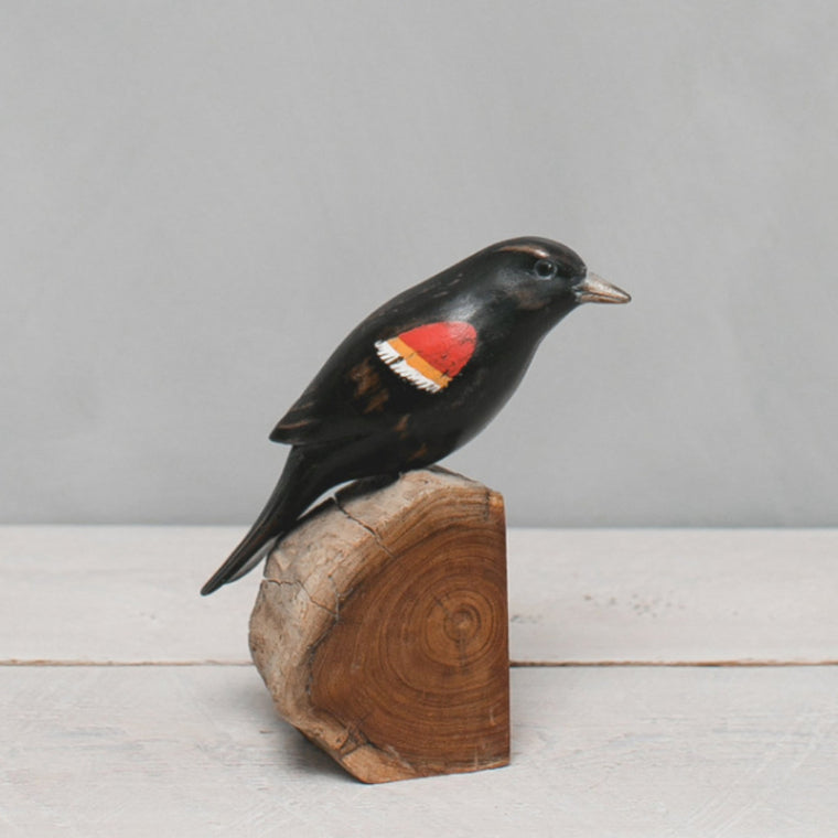 Redwing Blackbird -8"H