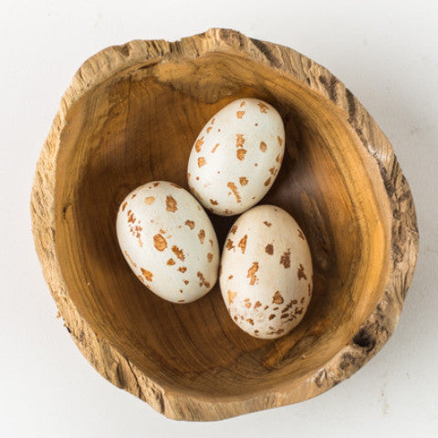 Nest Bowl with Kestrel Eggs