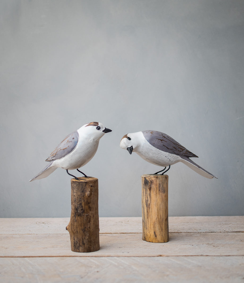 Canada Jay Pair - AKA Gray Jay - 8"H - Hand Carved Wooden Bird