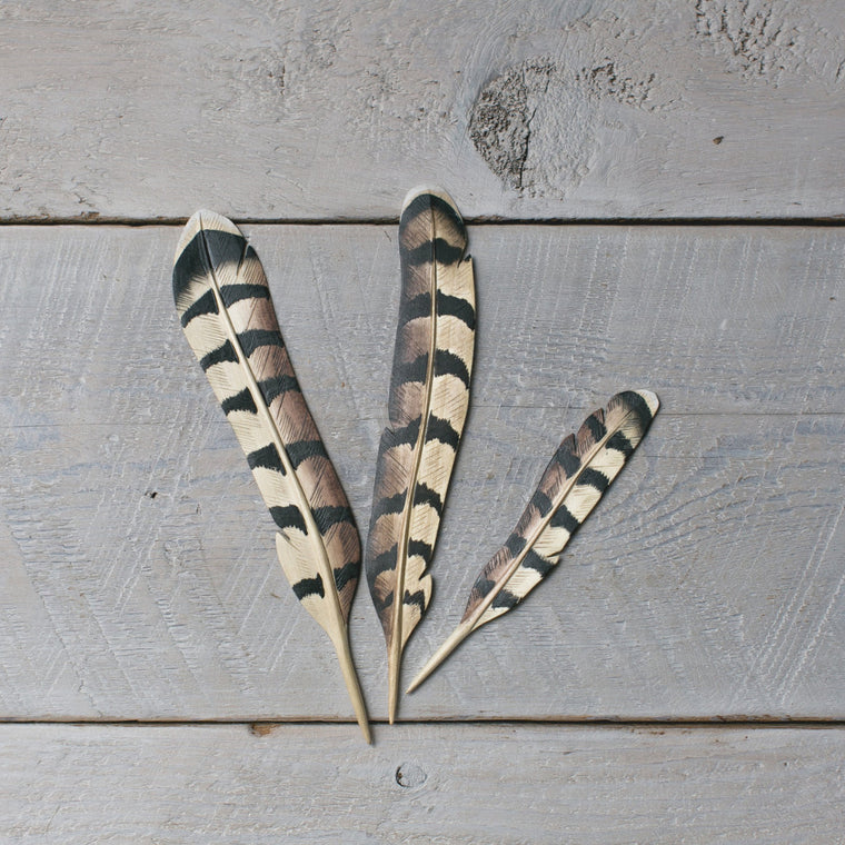 Woodpecker Feather set/3